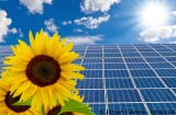 Solaranlagen sparen Strom